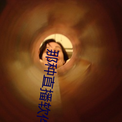 那种直播软件