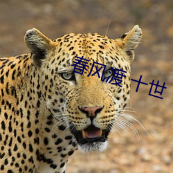 春风渡 十世