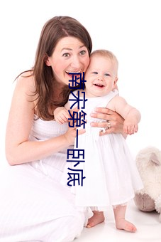 南宋第一卧底