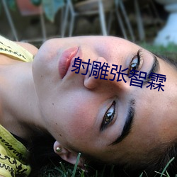射雕张智霖