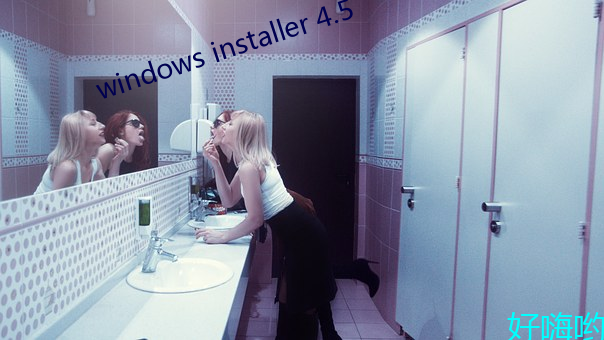 windows installer 4.5