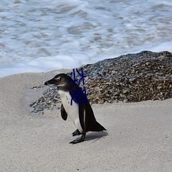 夺爱 ��落落）