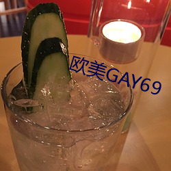 欧美(měi)GAY69