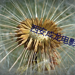 西安成龙电影院 （一厢情原