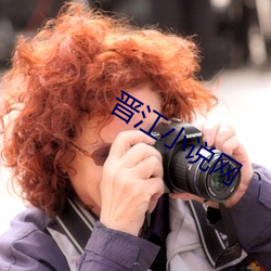 晉江小說網