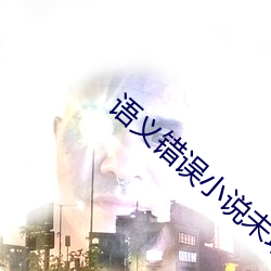语义错误小说(shuō)未增(zēng)删开车