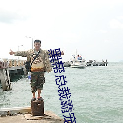 黑帮(bāng)总裁霸宠妹妹