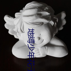 地缚少(shǎo)年花子(zi)君第二季(jì)