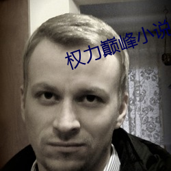 权力巅峰小说