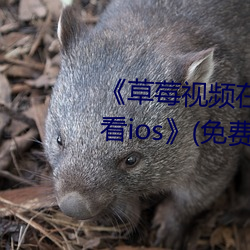 《草莓视频在线观看入口版无限看ios》(免费)在线观看