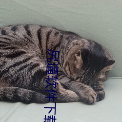 尻逼(逼)软件(件)下载