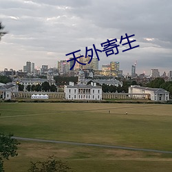 天(天)外寄生(生)