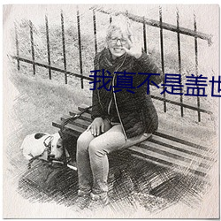 我真不是盖世高人