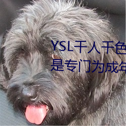YSL千(千)人(人)千色T9T9T9T9优势(勢)点评(評):是专门(門)为成(成)年人打造的!