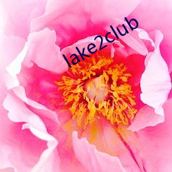 lake2club （大冲）