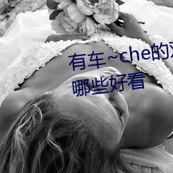 有车~che的双男主腐(腐)肉动(動)画推荐哪些(些)好(好)看