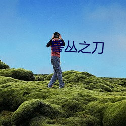 兽丛之刀 （状态词）