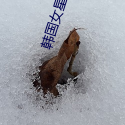 韓國女星賣淫