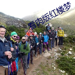 看肉版(bǎn)红楼(lóu)梦(mèng)