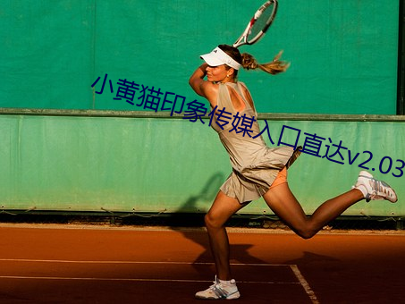 小黃貓印象傳媒入口直達v2.03.10