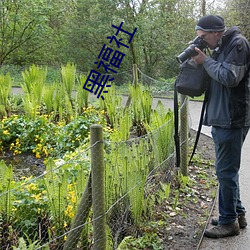 黑福社