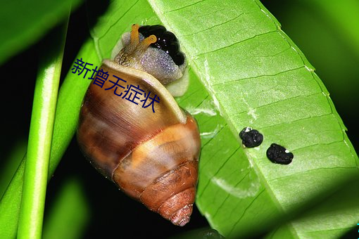 新增无症状
