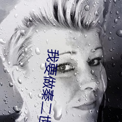 我要做秦二世