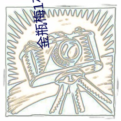 金瓶梅1在线观看 （典身卖命）
