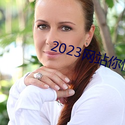 2023网(網)站(站)你懂我意(意)思正能量