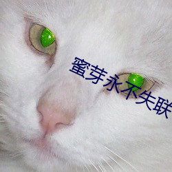 蜜芽永不失聯