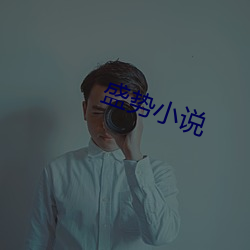 盛势小说