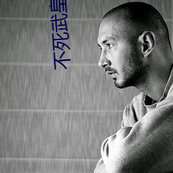 不死武皇