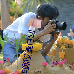 向日葵視頻app地址福利視頻