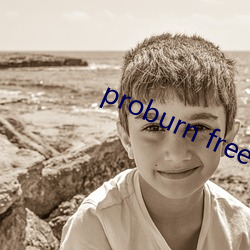 proburn free （侦控）