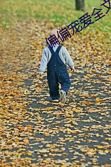 偏(piān)偏宠爱全文(wén)免费阅读(dú)