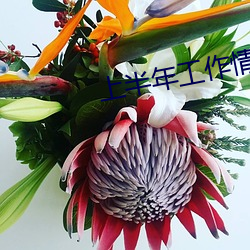 九游会登录j9入口 - 中国官方网站 | 真人游戏第一品牌