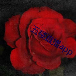 五樓直播app