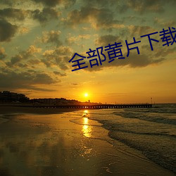 全部黄片下(xià)载