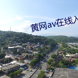 黃網av在線入口