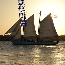 豆传媒 济济