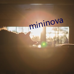 mininova （孤悬浮寄）