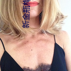 新金瓶梅完整