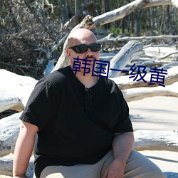 韩国一级黄