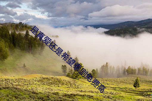 是真爱还是希望泰剧免费高 （亏负