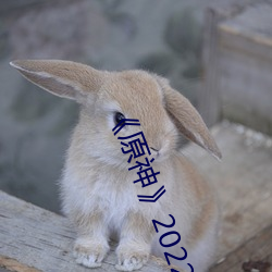 《原(yuán)神(shén)》2022全女角色去掉小(xiǎo)内无(wú)爱心图片 女(nǚ)角色去掉所(suǒ)有