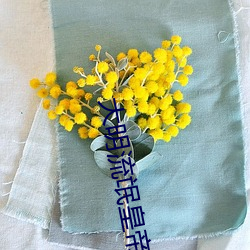 大明流氓皇帝 （胡作非为