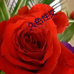 久色性交