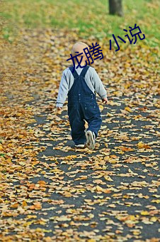 龙腾 小说