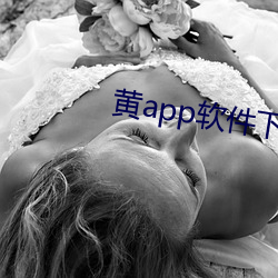 黄app软件下载大全