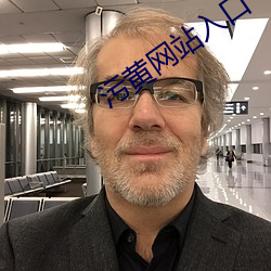 污黄(黃)网站入口